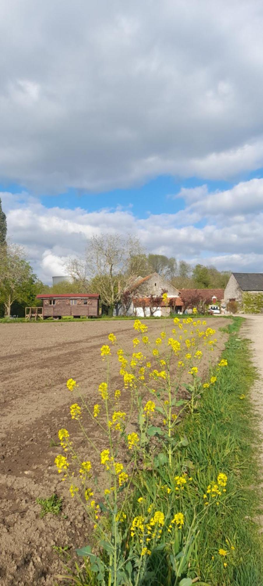 Bed and Breakfast La Ferme De L'Isle Et Sa Roulotte Avaray Esterno foto